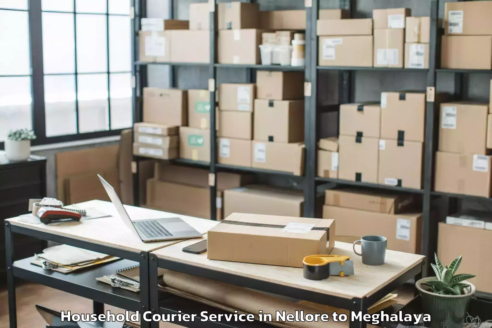 Reliable Nellore to Nongstoin Household Courier